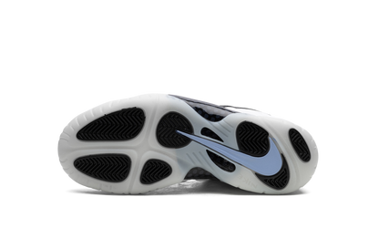 Air Foamposite One GS "Penny Hardaway PE" DV2238 100