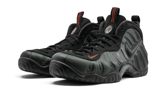 Air Foamposite Pro "Sequoia" 624041 304