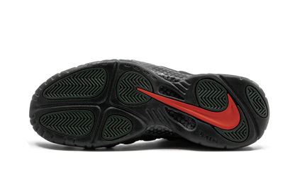 Air Foamposite Pro "Sequoia" 624041 304