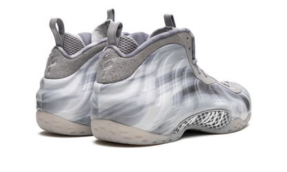 Air Foamposite One "Dream a World - Grey" DM0115 001