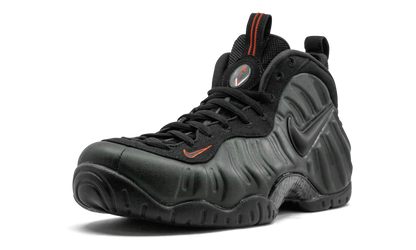 Air Foamposite Pro "Sequoia" 624041 304