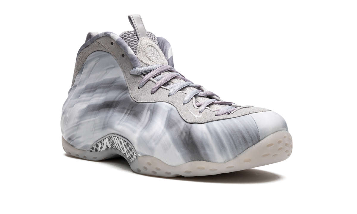 Air Foamposite One "Dream a World - Grey" DM0115 001
