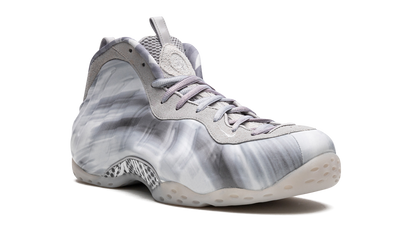 Air Foamposite One "Dream a World - Grey" DM0115 001